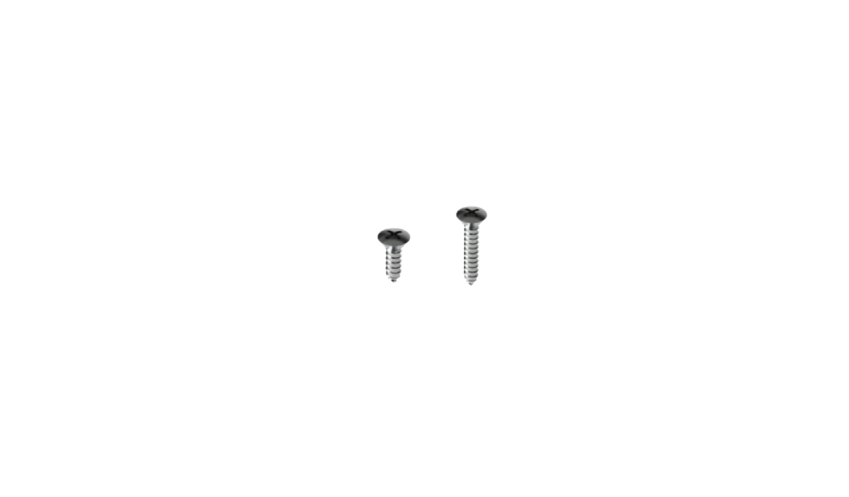 Round Stainless Steel Screw